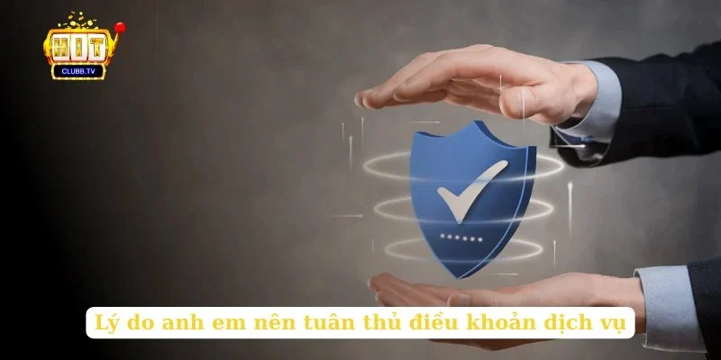 ly-do-anh-em-nen-tuan-thu-dieu-khoan-dich-vu