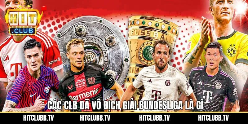Bundesliga là gì - Các câu lạc bộ đã từng vô địch Bundesliga