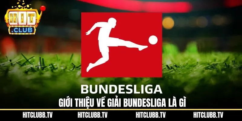 Một số thông tin trọng tâm về giải Bundesliga là gì