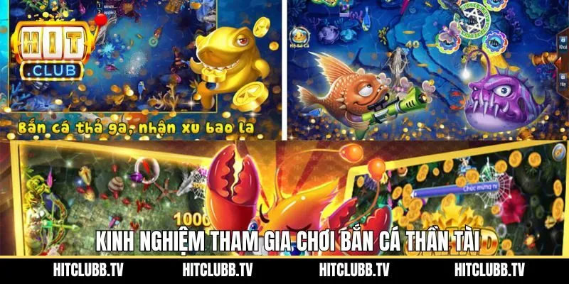 Top các kinh nghiệm bất bại khi tham gia săn cá