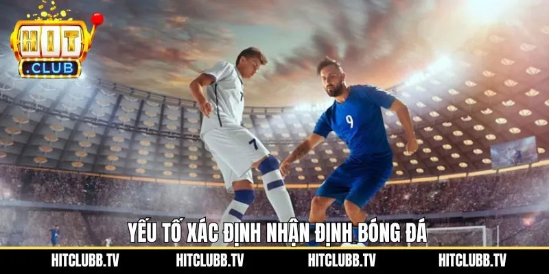 Hiểu rõ các yếu tố quan trọng trong quá trình nhận định